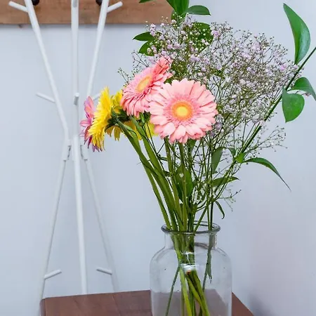 La En Casco Antiguo By Vero